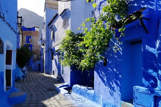 11-day grand Morocco tour from Casablanca — imperial cities, Atlas and Sahara