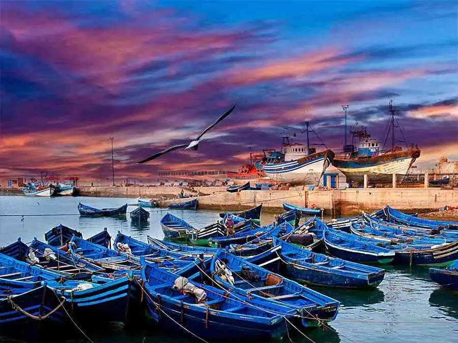 Essaouira day trip from Marrakech — Atlantic coast, Portuguese ramparts and fishing harbour