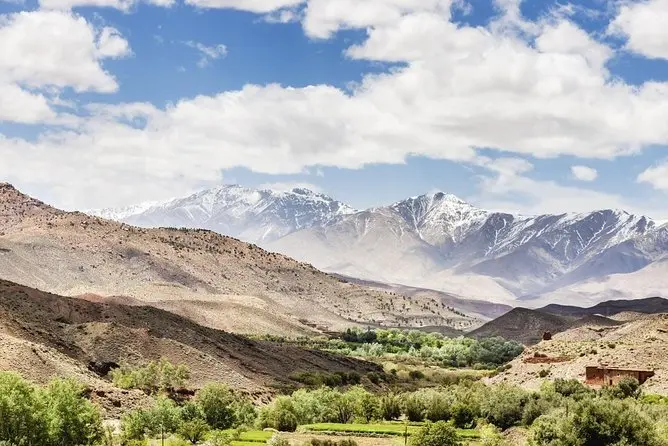Middle Atlas mountains day trip from Fes — Ifrane and cedar forests