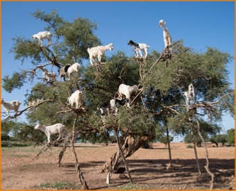 Top Destinations Top Destinations