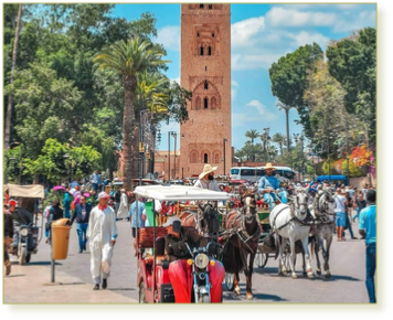 5 days tour Fes to Sahara and Marrakech